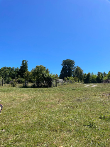 Campo
