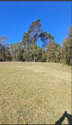 Sitio En Venta En Puerto Varas En Riberas Del Maullin