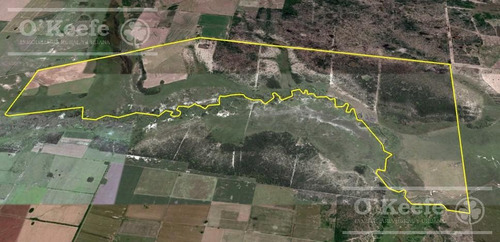 Imagen 7 de 11 de Campo Ganadero En Venta - Calchaqui 1200 Has - Con Frente Sobre Ruta