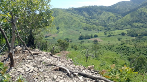 Oportunidad De Inversión En Chiapas: Rancho De 10 Hectáreas Con Documentación Al Día Y Plusvalía En Crecimiento