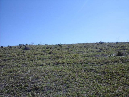 Imagem 10 de 14 de Área Residencial Na Vila Cândida - Ar0002