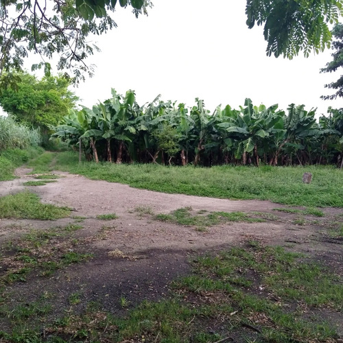 En Venta Terreno En Palo Negro, Municipio Libertador, Aragua