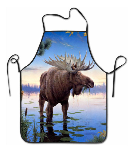 Intfulihu Elk Lake Delantal Wyoming Moose Wind Rio Hombr Bbq