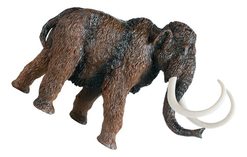 Juguete Educativo De Escritorio Con Maqueta De Animal Para N