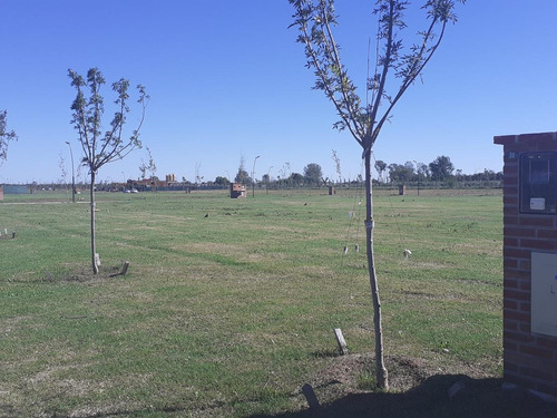 Imagen 5 de 24 de Espetacular | Lote En Carpinchos