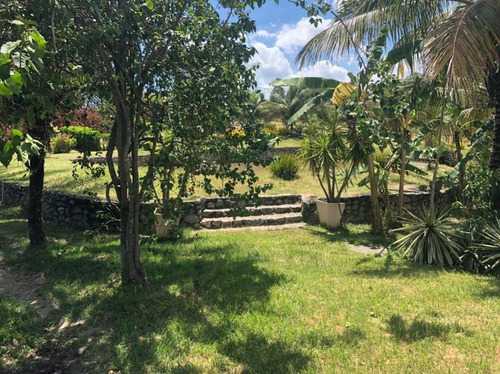 Imagem 16 de 30 de Chácara Em Granjas Mirassol (pachecos), Itaboraí/rj De 10000m² 3 Quartos À Venda Por R$ 990.000,00 - Ch1314298-s