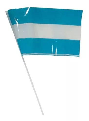 BANDERA ARGENTINA NUEVO MILENIO 30X48CM