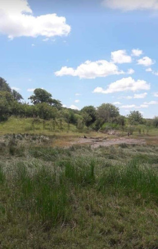 Campo Ganadero En Carcaraña. Con Quincho Y Casa