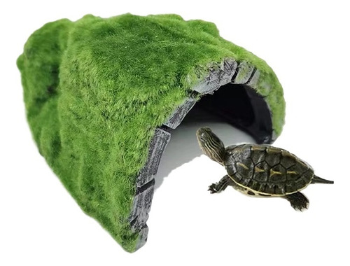 Turtle Moss Decorative Accessories