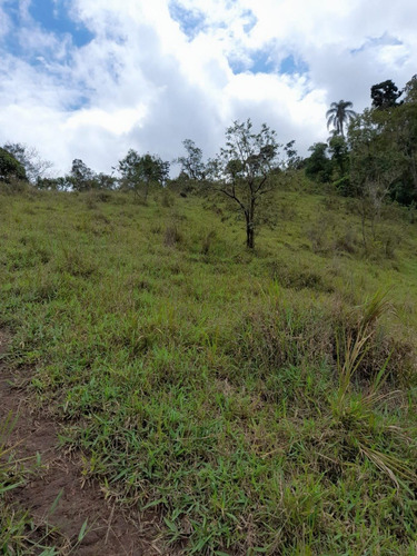 Imagem 11 de 20 de B46- Opa Chácara Boa A Venda 1000m² Venha Conhecer!!