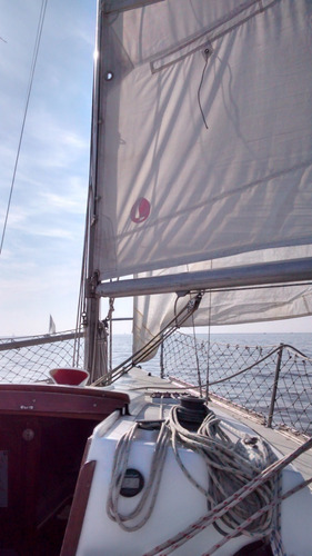 Imagen 14 de 20 de Velero Limbo 21