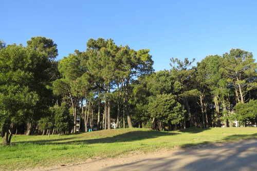 Imagen 13 de 13 de Departamento En Venta En Pinamar , Nueva Zona Duplex. Balcon Parrilla