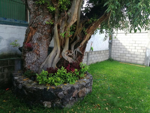 Imagen 2 de 8 de Casa Sola En Luis Echeverría, Yautepec, Morelos