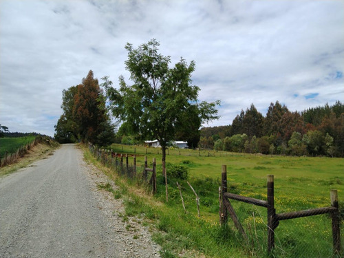 Vende Terreno 6.700 M2 Cerca Lago Ranco, Pillaco, Region De