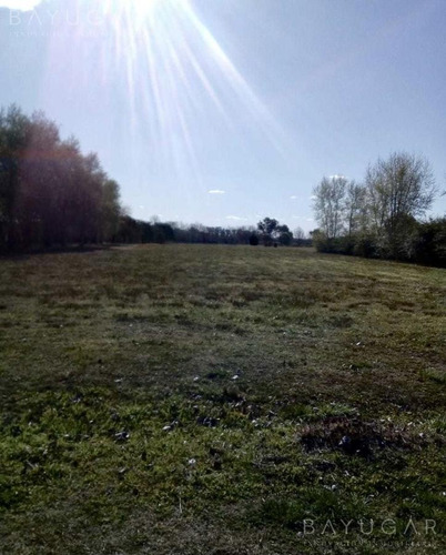 Imagen 5 de 6 de Terreno - La Ranita