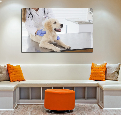 Cuadro Canvas Perro Consulta Veterinaria Clinica Pet Shop