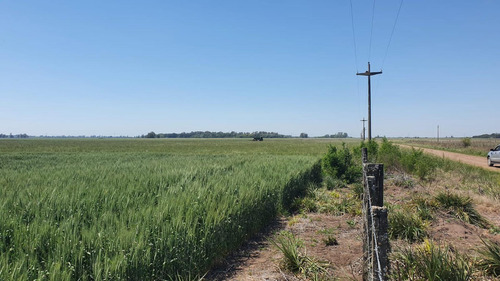 Imagen 3 de 15 de Campo En San Miguel Del Monte - 188 Hectáreas