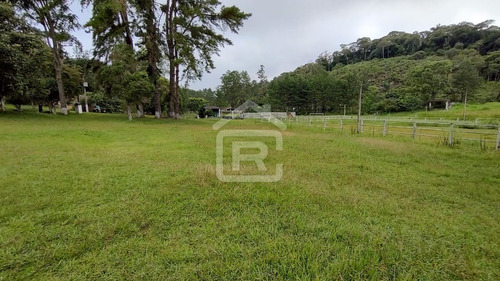 Imagem 11 de 30 de Mini Haras - 213 - 70588973