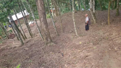 Terreno Em Ilhabela