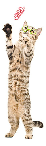 Bobinas De Plástico Cat Spring Toys Tamu Style (paquete De 3