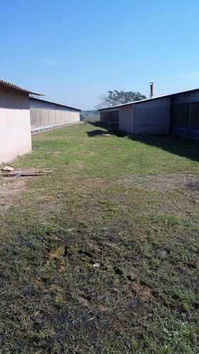 Imagem 8 de 27 de Excelente Sitio A Venda Em Pereiras - 531