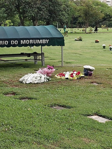 Jazigo Cemitério Morumbi Morumby 3 Gavetas - Localização Nobre Transferência Grátis