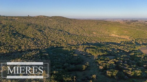 Venta De 30has En Frente A Bodega Garzon, Corredor Turístico (ref: Atm-7646)