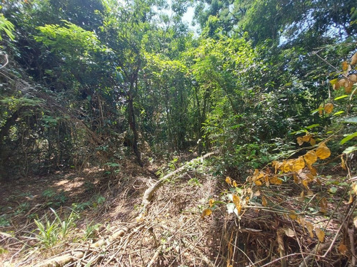 Imagem 20 de 24 de Terreno Em Caxito, Maricá/rj De 1060m² À Venda Por R$ 150.000,00 - Te2148374-s