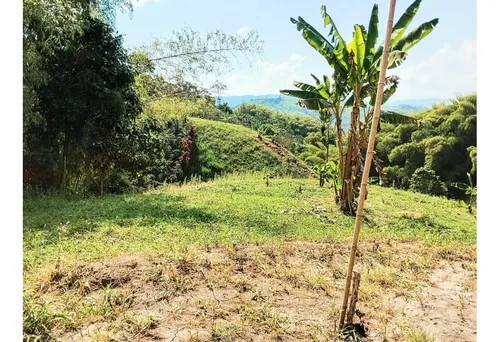 Lotes En Venta Desde $60.000.000 En Palestina Caldas | Venta Lotes