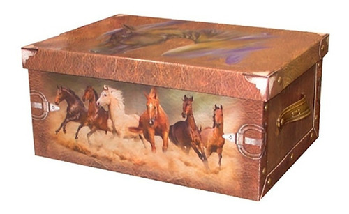 Caja Baulera Organizadora Chica 32x23x18cm Caballos 