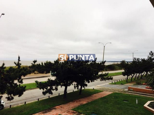 Imagen 3 de 12 de Apartamento En Playa Mansa Alquiler