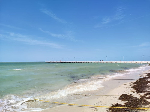 Imagen 16 de 24 de Terreno En Playa Chicxulub En Venta. Con Acceso A La Playa