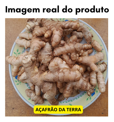 Açafrão/ Curcuma, Raiz Fresca, Para Plantar Ou Fazer Pó 3kg