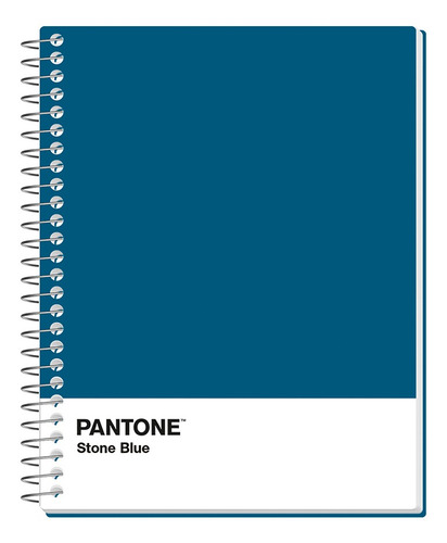 Pack 5 Cuadernos Premium Rhein Pantone