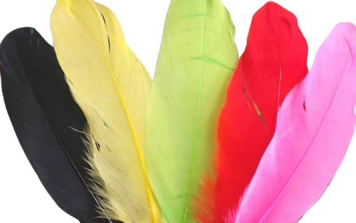 Imagen 1 de 5 de Plumas De Colores
