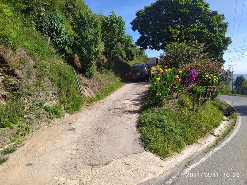 Imagen 13 de 13 de Parcela Urb Villa Primavera, Sector Garabato, Pozo De Rosas