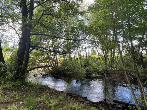 Parcela Con Casona A 20 Min Los Angeles Con Rio Bosques