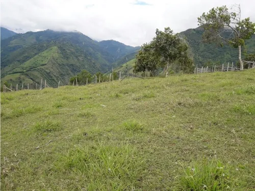 Se Vende Lote En Sanjeronimo (antioquia) 20 Hectáreas + 8.000 Mtr2