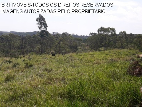 Imagem 20 de 22 de Terreno - Te00125 - 34466729