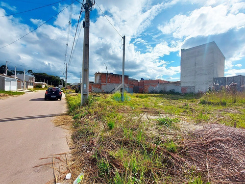 Imagem 11 de 21 de Vende-se 2 Lotes De Terrenos Totalizando 240 M², Próximo A Avenida Brasil No Bairro Eucaliptos Na Fazenda Rio Grande! - Te00087 - 69354973