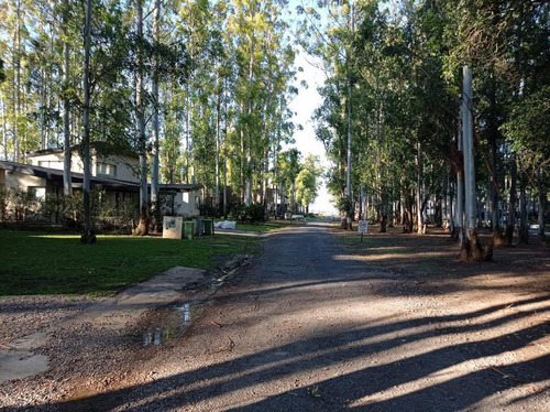 Terreno En Puerto Paraiso - Barrio Cerrado - Gran Arboleda - Bajada Al Rio