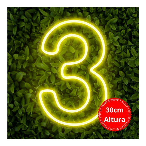 Painel Neon Numero Tres 3 Instagram Iluminação 30 Cm Cor Branco Quente 110V/220V