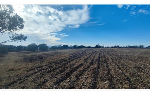 Terreno En Venta En Palmillas, San Juan Del Río, Querétaro