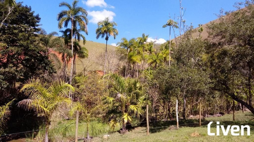 Imagem 12 de 20 de Chacara Com 40 Mil Metros Quadrados - 8553