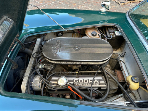 Cobra