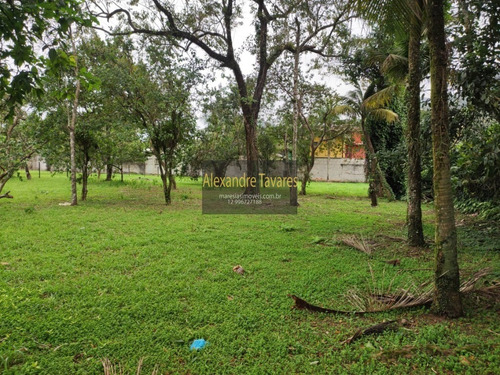 Imagem 7 de 7 de Excelente Terreno De Investimento! Praia De Maresias / Sp. - Te00019 - 71014230