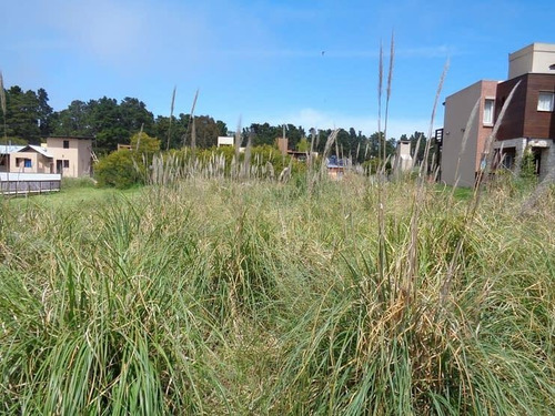 Lote Unifamiliar De 475 M2