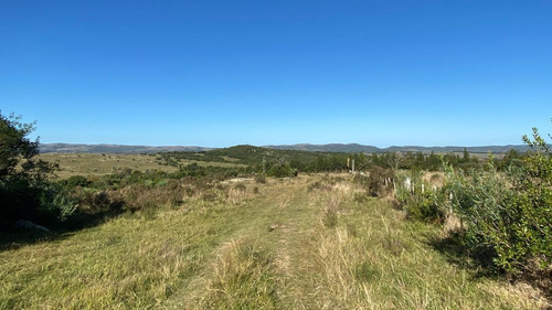 Imagen 12 de 30 de Se Vende Campo De 77 Has En Maldonado. A Pocos Km De Aiguá En Zona De Ruta 39. Ubicación Privilegiada!