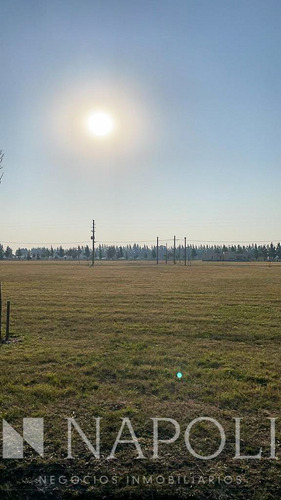 Imagen 2 de 12 de Venta De Lote Sector Sporting Fincas De San Vicente