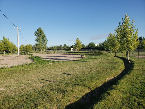 Imagen 11 de 14 de Lote De 1.850 M2 En Barrio 4 Estaciones, Calle Cubillos - Rama Caída